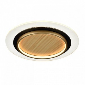 Накладной светильник Sonex Sunny 7731/80L в Камышлове - kamyshlov.ok-mebel.com | фото 6