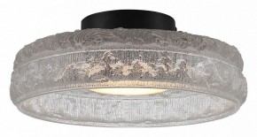 Накладной светильник ST-Luce ANTIKE SL6143.402.01 в Камышлове - kamyshlov.ok-mebel.com | фото 2