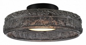 Накладной светильник ST-Luce ANTIKE SL6143.412.01 в Камышлове - kamyshlov.ok-mebel.com | фото 2