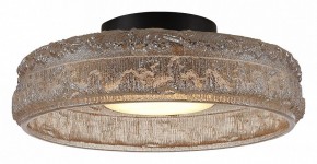 Накладной светильник ST-Luce ANTIKE SL6143.422.01 в Камышлове - kamyshlov.ok-mebel.com | фото 3