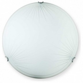Накладной светильник TopLight Wifa TL9142Y-00WH в Камышлове - kamyshlov.ok-mebel.com | фото