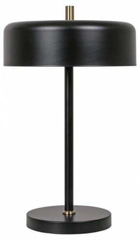 Настольная лампа декоративная Arte Lamp Skat A7052LT-2BK в Камышлове - kamyshlov.ok-mebel.com | фото 2