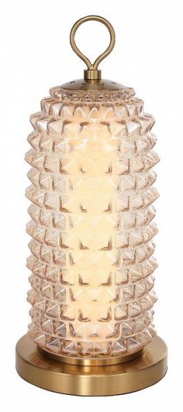 Настольная лампа декоративная ST-Luce SAGUARO SL6144.304.01 в Камышлове - kamyshlov.ok-mebel.com | фото 2
