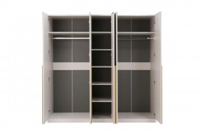 НИКОЛЬ 25 Шкаф 5-ти створчатый в Камышлове - kamyshlov.ok-mebel.com | фото 3