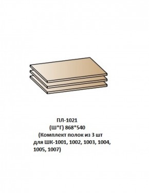ПЛ-1021 (Комплект полок из 3 шт для ШК-1001, 1002, 1003, 1004, 1005, 1007) в Камышлове - kamyshlov.ok-mebel.com | фото