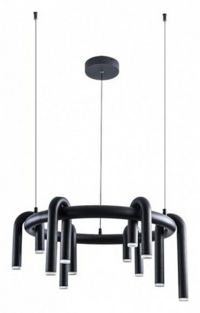Подвесная люстра Arte Lamp Warhol A3258LM-30BK в Камышлове - kamyshlov.ok-mebel.com | фото