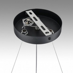 Подвесная люстра Lumion Luazana 8242/6 в Камышлове - kamyshlov.ok-mebel.com | фото 7