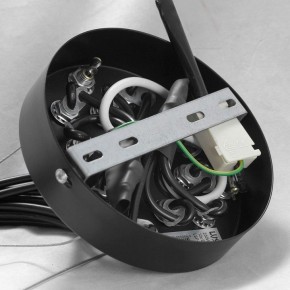 Подвесная люстра Lussole Seneca GRLSP-8177 в Камышлове - kamyshlov.ok-mebel.com | фото 10