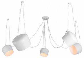 Подвесная люстра Lussole Shirley LSP-8175 в Камышлове - kamyshlov.ok-mebel.com | фото