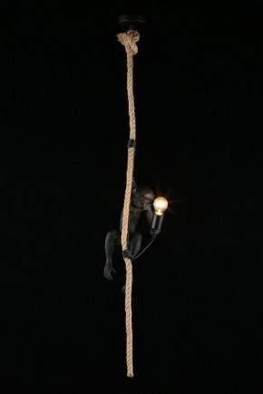 Подвесной светильник Aployt Magali APL.309.16.01 в Камышлове - kamyshlov.ok-mebel.com | фото 3