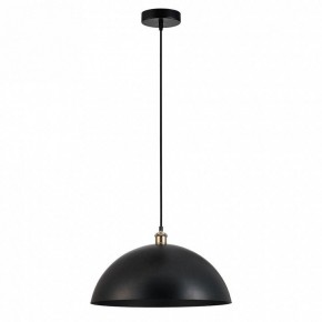 Подвесной светильник Arte Lamp Cappello A7056SP-1BK в Камышлове - kamyshlov.ok-mebel.com | фото 2