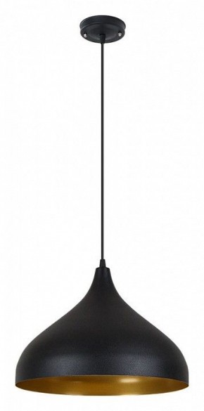 Подвесной светильник Arte Lamp Carmel A7076SP-1BK в Камышлове - kamyshlov.ok-mebel.com | фото 2