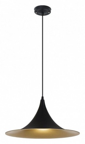 Подвесной светильник Arte Lamp Carmel A7080SP-1BK в Камышлове - kamyshlov.ok-mebel.com | фото 2