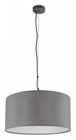 Подвесной светильник Arte Lamp Coppa A4095SP-3GY в Камышлове - kamyshlov.ok-mebel.com | фото 2