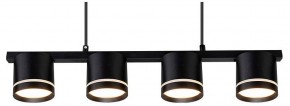 Подвесной светильник Arte Lamp Legacy A8024SP-4BK в Камышлове - kamyshlov.ok-mebel.com | фото