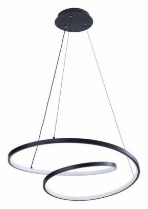 Подвесной светильник Arte Lamp Millo A3893SP-30BK в Камышлове - kamyshlov.ok-mebel.com | фото 2