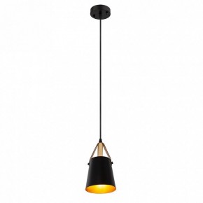 Подвесной светильник Arte Lamp Thomas A7032SP-1BK в Камышлове - kamyshlov.ok-mebel.com | фото 3