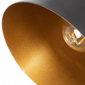 Подвесной светильник Arte Lamp Thomas A7032SP-1BK в Камышлове - kamyshlov.ok-mebel.com | фото 5