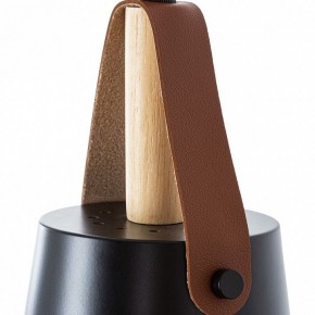 Подвесной светильник Arte Lamp Thomas A7032SP-1BK в Камышлове - kamyshlov.ok-mebel.com | фото 6