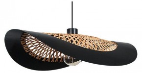 Подвесной светильник Arte Lamp Woodstock A7059SP-1BK в Камышлове - kamyshlov.ok-mebel.com | фото
