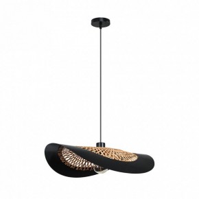 Подвесной светильник Arte Lamp Woodstock A7059SP-1BK в Камышлове - kamyshlov.ok-mebel.com | фото 2
