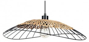 Подвесной светильник Arte Lamp Woodstock A7061SP-1BK в Камышлове - kamyshlov.ok-mebel.com | фото