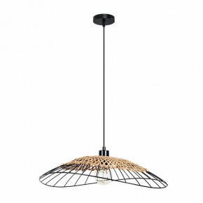 Подвесной светильник Arte Lamp Woodstock A7061SP-1BK в Камышлове - kamyshlov.ok-mebel.com | фото 2