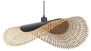 Подвесной светильник Arte Lamp Woodstock A7063SP-1BK в Камышлове - kamyshlov.ok-mebel.com | фото