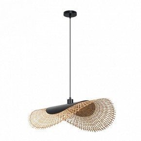 Подвесной светильник Arte Lamp Woodstock A7063SP-1BK в Камышлове - kamyshlov.ok-mebel.com | фото 2