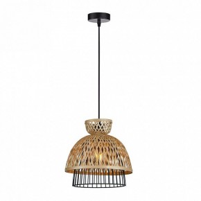 Подвесной светильник Arte Lamp Woodstock A7070SP-1BK в Камышлове - kamyshlov.ok-mebel.com | фото