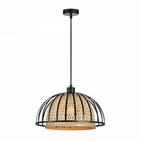 Подвесной светильник Arte Lamp Woodstock A7071SP-1BK в Камышлове - kamyshlov.ok-mebel.com | фото