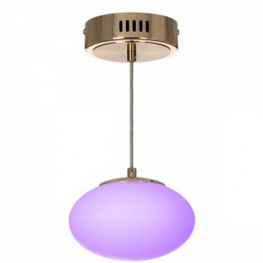 Подвесной светильник Citilux Atman Smart CL226B013 в Камышлове - kamyshlov.ok-mebel.com | фото 5
