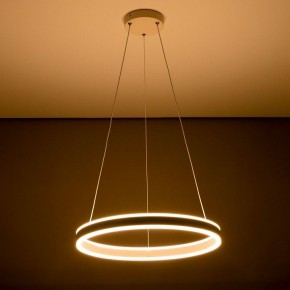 Подвесной светильник Citilux Дуэт CL719500 в Камышлове - kamyshlov.ok-mebel.com | фото 11