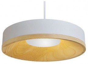 Подвесной светильник Divinare Vaso 5119/33 SP-12 в Камышлове - kamyshlov.ok-mebel.com | фото