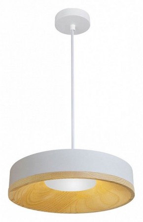 Подвесной светильник Divinare Vaso 5119/33 SP-12 в Камышлове - kamyshlov.ok-mebel.com | фото 2