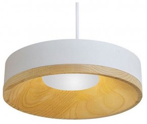 Подвесной светильник Divinare Vaso 5119/33 SP-8 в Камышлове - kamyshlov.ok-mebel.com | фото
