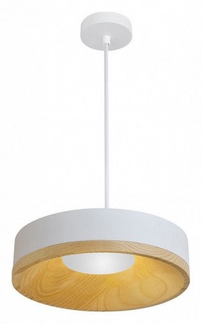 Подвесной светильник Divinare Vaso 5119/33 SP-8 в Камышлове - kamyshlov.ok-mebel.com | фото 2