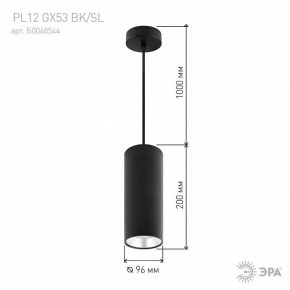 Подвесной светильник Эра  PL12 GX53 BK/SL в Камышлове - kamyshlov.ok-mebel.com | фото 8