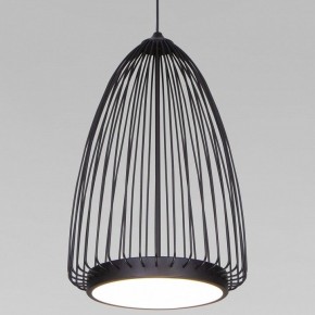 Подвесной светильник Eurosvet Comodita 40009/1 LED черный в Камышлове - kamyshlov.ok-mebel.com | фото