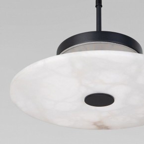 Подвесной светильник Eurosvet Thasos 40342 LED черный в Камышлове - kamyshlov.ok-mebel.com | фото 8