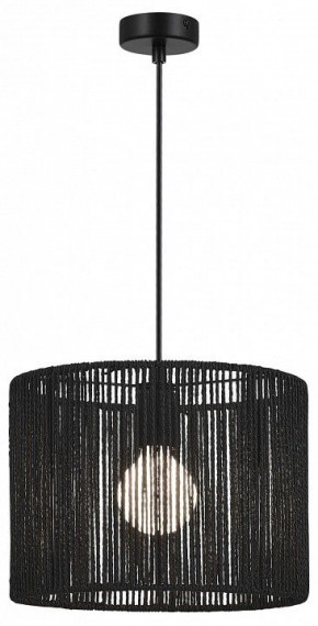 Подвесной светильник EVOLUCE ETTAN SLE6024-403-01 в Камышлове - kamyshlov.ok-mebel.com | фото 2