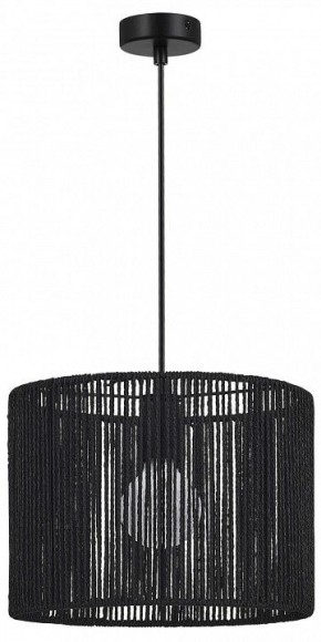 Подвесной светильник EVOLUCE ETTAN SLE6024-403-01 в Камышлове - kamyshlov.ok-mebel.com | фото 4