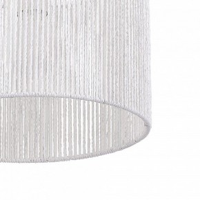 Подвесной светильник EVOLUCE ETTAN SLE6024-503-01 в Камышлове - kamyshlov.ok-mebel.com | фото 8