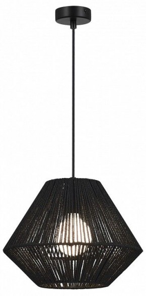 Подвесной светильник EVOLUCE ETTAN SLE6025-403-01 в Камышлове - kamyshlov.ok-mebel.com | фото 2