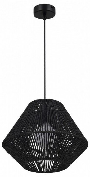 Подвесной светильник EVOLUCE ETTAN SLE6025-403-01 в Камышлове - kamyshlov.ok-mebel.com | фото 4