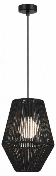 Подвесной светильник EVOLUCE ETTAN SLE6025-413-01 в Камышлове - kamyshlov.ok-mebel.com | фото 2