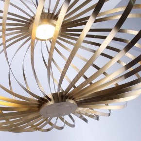 Подвесной светильник Favourite Spring 4680-1P в Камышлове - kamyshlov.ok-mebel.com | фото 5