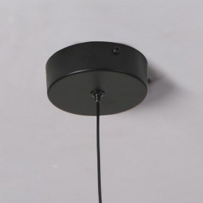 Подвесной светильник Favourite Wilet 4656-1P в Камышлове - kamyshlov.ok-mebel.com | фото 10