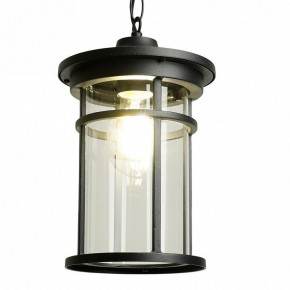 Подвесной светильник Feron PL765 51819 в Камышлове - kamyshlov.ok-mebel.com | фото 3