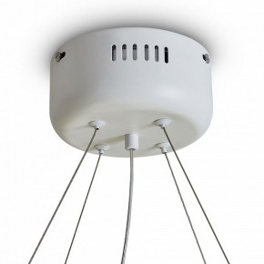 Подвесной светильник Freya Rain FR5546PL-L60W в Камышлове - kamyshlov.ok-mebel.com | фото 9